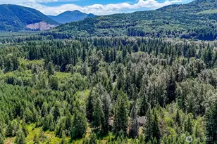 20815 Sate Route 706 E, Elbe, WA 98330 - Photo 31