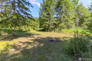 20815 Sate Route 706 E, Elbe, WA 98330 - Photo 33