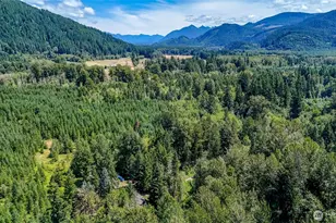 20815 Sate Route 706 E, Elbe, WA 98330 - Photo 37