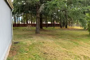 289 Antrim Rd, Winlock, WA 98596 - Photo 19