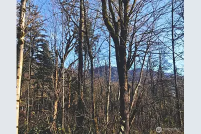 355 Xx SE Courtney Road, Ravensdale, WA 98051 - Photo 7