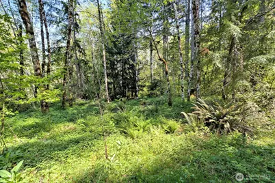 2070 W Cushman Ridge Drive, Hoodsport, WA 98548 - Photo 39