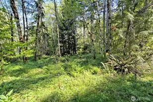 2070 W Cushman Ridge Dr, Hoodsport, WA 98548 - Photo 39