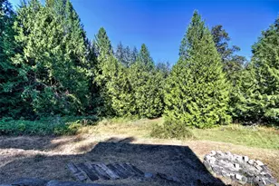 6217 Lackey Rd NW, Vaughn, WA 98394 - Photo 39