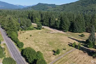 204 Bobcat Pl, Ariel, WA 98603 - Photo 1