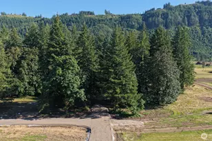 209 Bobcat Pl, Ariel, WA 98603 - Photo 1