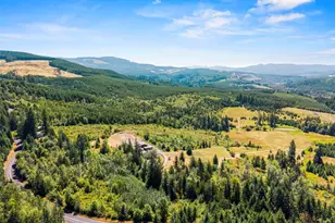 805 Luebke Rd, Toutle, WA 98649 - Photo 31
