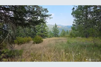 443421 Sr-20, Newport, WA 99156 - Photo 27