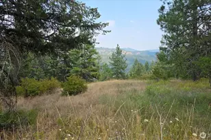 443421 Sr-20, Newport, WA 99156 - Photo 27