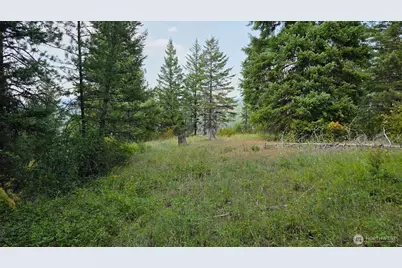 443421 Sr-20, Newport, WA 99156 - Photo 31