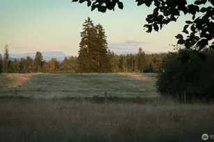 179 Bay Rd, Winlock, WA 98596 - Photo 7