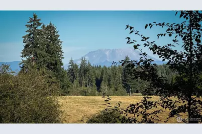 179 Bay Road, Winlock, WA 98596 - Photo 23