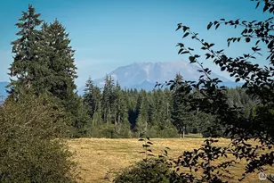 179 Bay Rd, Winlock, WA 98596 - Photo 23