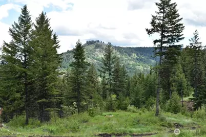 181 New Hope Drive, Malo, WA 99150 - Photo 29