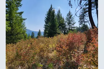 181 New Hope Drive, Malo, WA 99150 - Photo 21