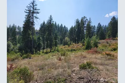 181 New Hope Drive, Malo, WA 99150 - Photo 23