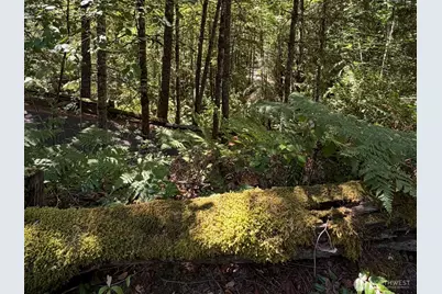 26003 SE Issaquah-Fall City Road, Issaquah, WA 98029 - Photo 15
