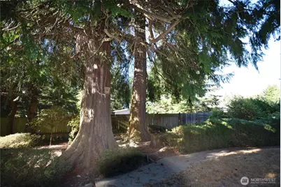 152 Charrles Way, Sequim, WA 98382 - Photo 21