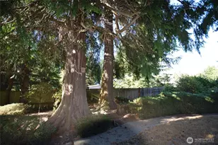 152 Charles Way, Sequim, WA 98382 - Photo 21