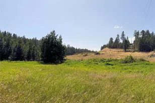 1 Miles/Creston Road E, Creston, WA 99117 - Photo 1