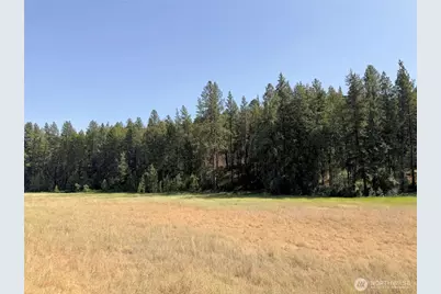 1 Miles/Creston Road E, Creston, WA 99117 - Photo 3