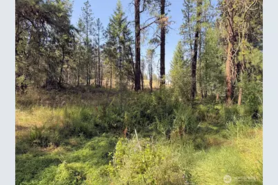 2 Miles/Creston Road E, Creston, WA 99117 - Photo 13