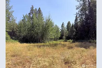2 Miles/Creston Road E, Creston, WA 99117 - Photo 35