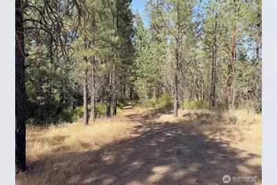 2 Miles/Creston Road E, Creston, WA 99117 - Photo 19