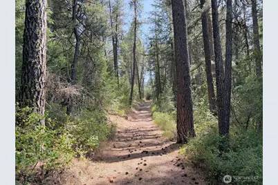 2 Miles/Creston Road E, Creston, WA 99117 - Photo 17