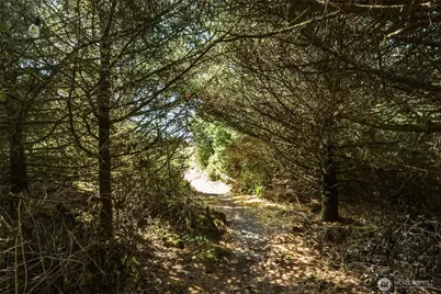 3515 State Route 109, Copalis Beach, WA 98535 - Photo 7