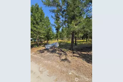 15 Appaloosa Road, Tonasket, WA 98855 - Photo 5