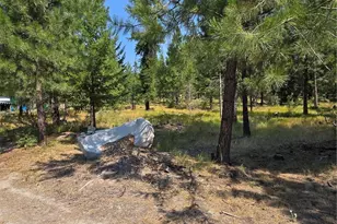 15 Appaloosa Rd, Tonasket, WA 98855 - Photo 5