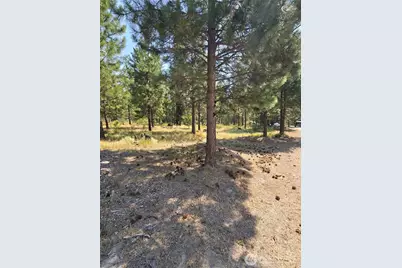 15 Appaloosa Road, Tonasket, WA 98855 - Photo 7