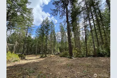 0 Tr3 E Mason Lake Road, Grapeview, WA 98546 - Photo 9