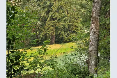 23904 Lot 8 E Lake Kayak Drive, Monroe, WA 98272 - Photo 5