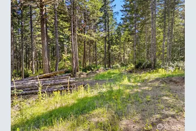 0 Tr4 E Mason Lake Road, Grapeview, WA 98546 - Photo 5