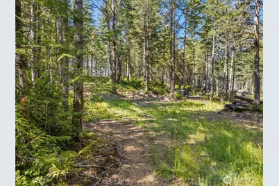 0 Tr4 E Mason Lake Road, Grapeview, WA 98546 - Photo 1