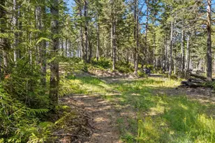 0 Tr4 E Mason Lake Rd, Grapeview, WA 98546 - Photo 1