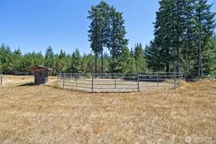 2111 W Hanks Lake Rd, Shelton, WA 98584 - Photo 39