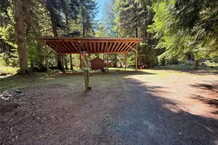 56010 344th Ave Ct E, Ashford, WA 98304 - Photo 1