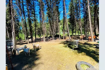 116 Pine Chee Road, Oroville, WA 98844 - Photo 13