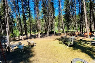 116 Pine Chee Rd, Oroville, WA 98844 - Photo 13
