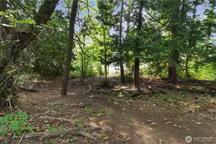 7121 Munn Lake Dr SE, Tumwater, WA 98501 - Photo 33