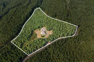 351 N Evening Star Ln, Hoodsport, WA 98548 - Photo 33