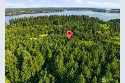 13512 94th Street, Anderson Island, WA 98303 - Photo 7