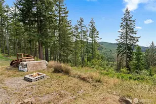 50001 146th Ave E, Eatonville, WA 98328 - Photo 27