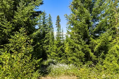 91 Basin Creek Way, Cle Elum, WA 98922 - Photo 7