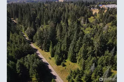 0 Pcl 4 E Scarlet Road, Shelton, WA 98584 - Photo 3