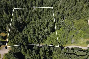 0 Pcl 4 E Scarlet Rd, Shelton, WA 98584 - Photo 1