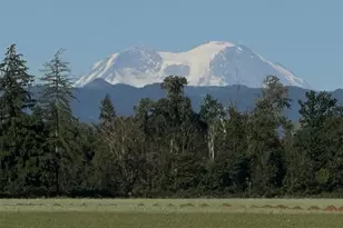 0 US Hwy 12, Onalaska, WA 98570 - Photo 1